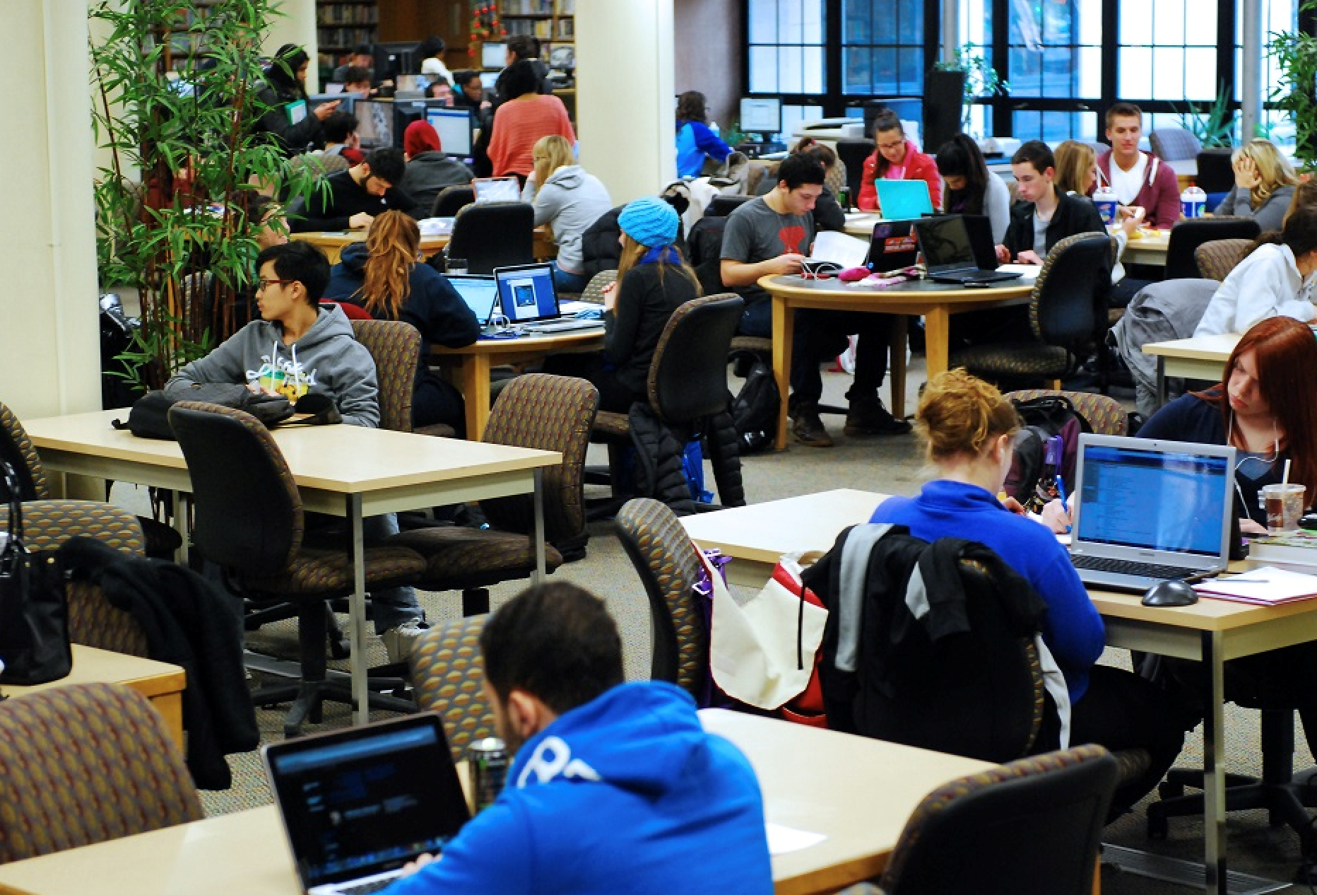 Photograph from the University of Detroit Mercy library. This photo shows a typical day for students who use the library.