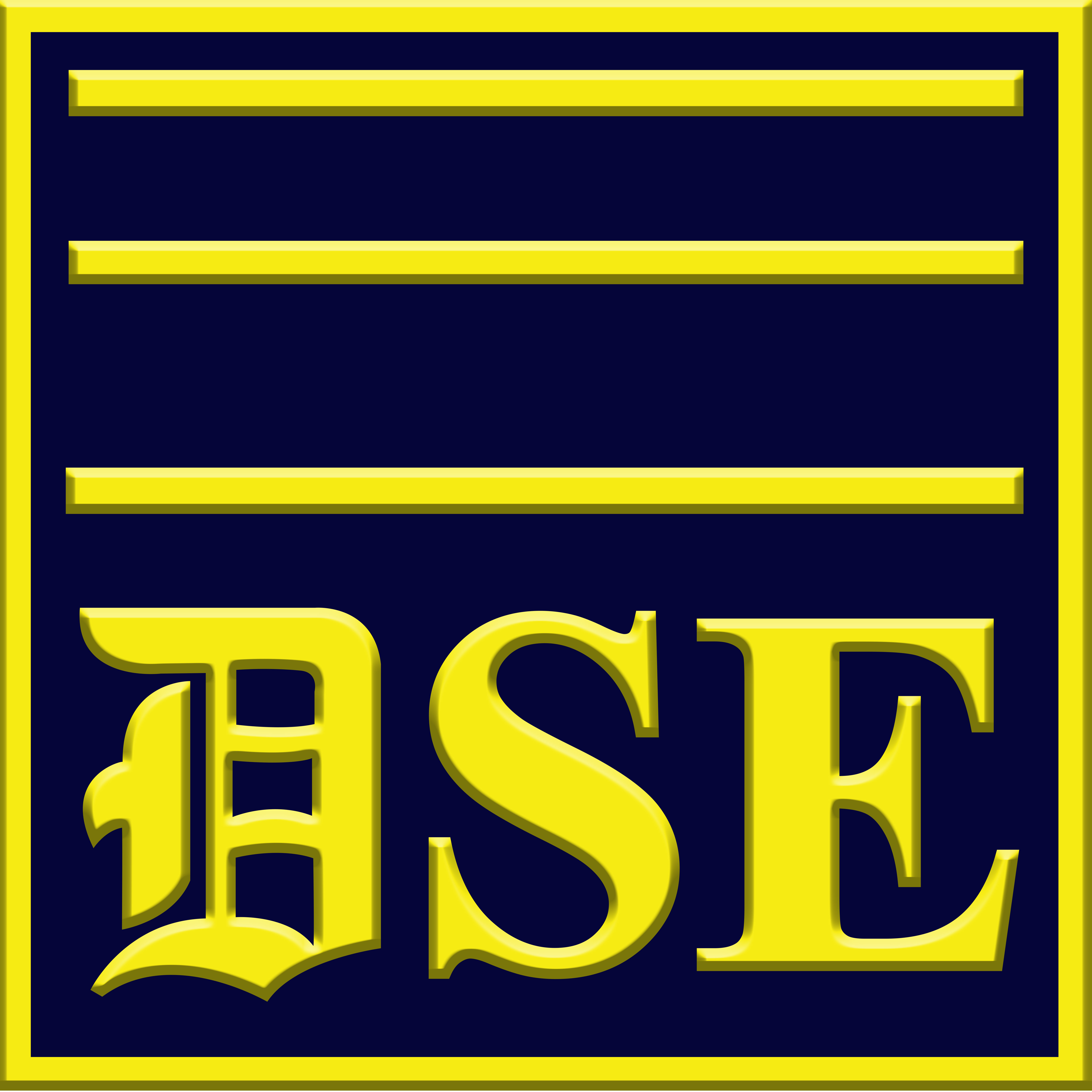 Detection Systems & Engineering Company (DSE) logo